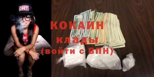 шишки Бородино