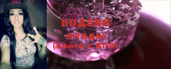 шишки Бородино