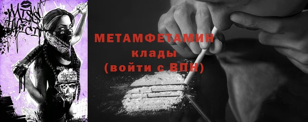 шишки Бородино