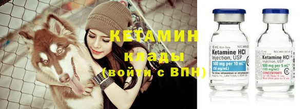 шишки Бородино