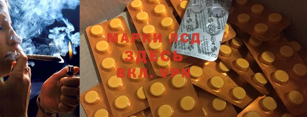 шишки Бородино