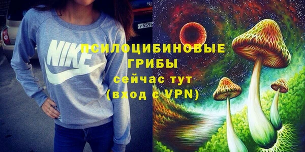 шишки Бородино